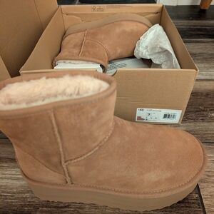 UGG Mini Platform Boot in Chestnut Suede
